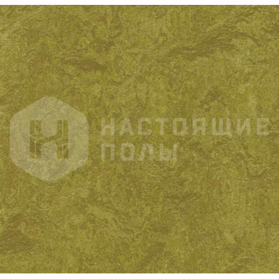 Натуральный линолеум рулонный Marmoleum Real 2.5 3239 Olive Green