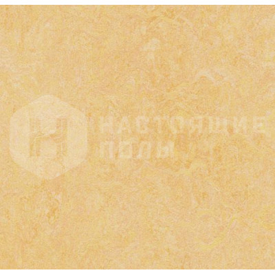 Натуральный линолеум рулонный Marmoleum Fresco 2.5 мм 3846 Natural Corn
