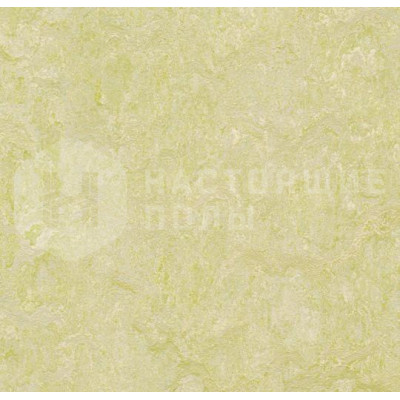 Натуральный линолеум рулонный Marmoleum Fresco 2 мм 3881 Green Wellness