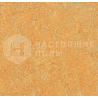 Натуральный линолеум рулонный Marmoleum Fresco 2.5 мм 3847 Golden Saffron
