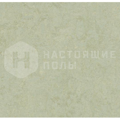 Натуральный линолеум рулонный Marmoleum Fresco 2.5 мм 3884 Frost