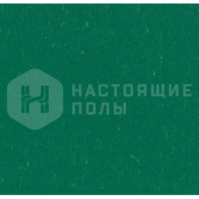 Натуральный линолеум рулонный Marmoleum Piano 364935 Greenwood