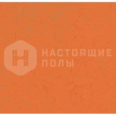 Натуральный линолеум рулонный Marmoleum Concrete 3738 Orange Glow