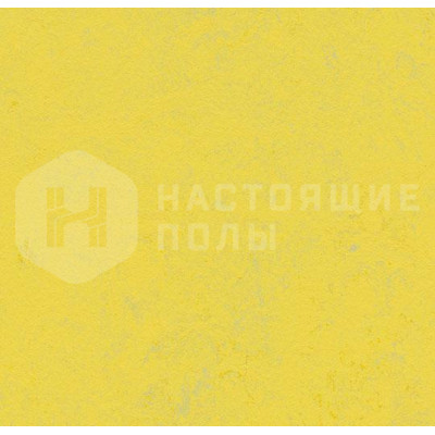 Натуральный линолеум рулонный Marmoleum Concrete 3741 Yellow Glow