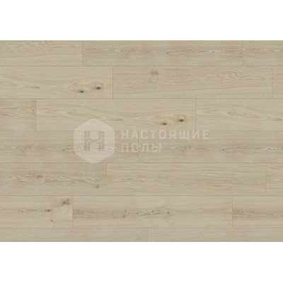 Ламинат ter Hurne Trend Line 1911 T06 Дуб Студия однополосный, 1286*243*8 мм Ламинат ter Hurne Trend Line 1911 T06 Дуб Студия однополосный, 1286*243*8 мм