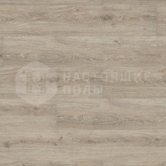 DB 00030 Дуб Виктория Серый