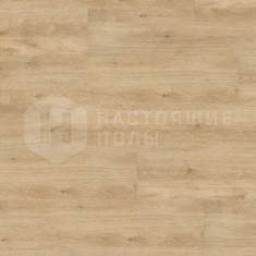 DB 00024 Вудсток Крем