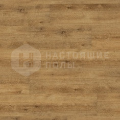 DB 00023 Вудсток Медовый