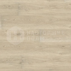 DB 00032 Дуб Виктория Белый