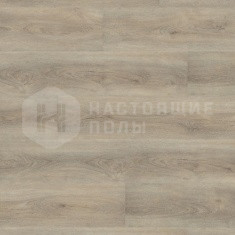 DB 00028 Дуб Омера Естественный