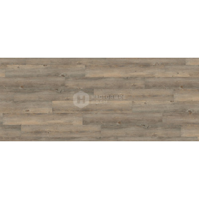 ПВХ плитка замковая Wineo 600 wood click DLC00008 Сосна Тосканская Серая, 1212*187*5 мм