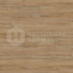 DLC00009 Дуб Спокойный Натуральный