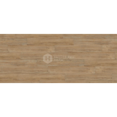 ПВХ плитка замковая Wineo 600 wood click DLC00009 Дуб Спокойный Натуральный, 1212*187*5 мм