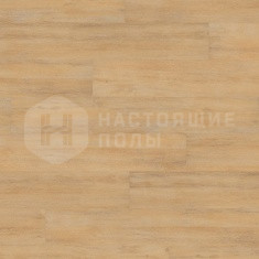 DLC00010 Дуб Спокойный Крем