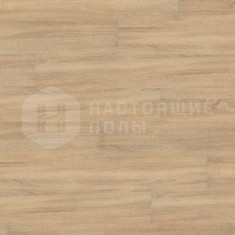 DB 00013 Дуб Венеро Бежевый