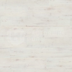 DB 00012 Полярис