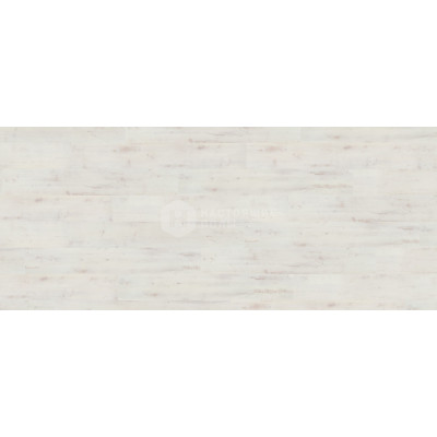 ПВХ плитка клеевая Wineo 600 Wood DB 00012 Полярис ПВХ плитка клеевая Wineo 600 Wood DB 00012 Полярис