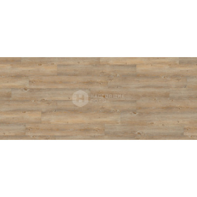 ПВХ плитка клеевая Wineo 600 Wood DB 00007 Сосна Тосканская ПВХ плитка клеевая Wineo 600 Wood DB 00007 Сосна Тосканская