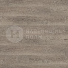 DB 00005 Аурелия Серая