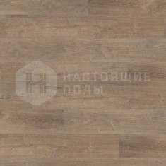 DB 00004 Аурелия Прованс