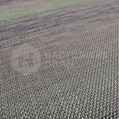 Alga Silver 500x500 mm