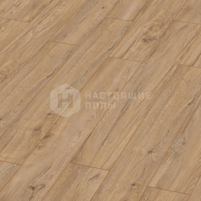 Ламинат Kronotex Robusto D4705 Америко Светлый, 1375*188*12 мм Ламинат Kronotex Robusto D4705 Америко Светлый, 1375*188*12 мм