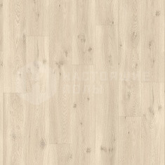 BACL40017 Дуб Светло-бежевый