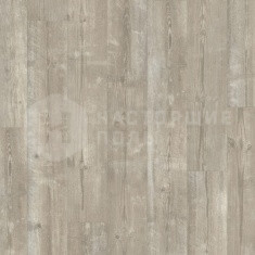 PUCL40074 Утренняя Сосна