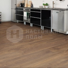 538656 Дуб с янтарной сердцевиной однополосный