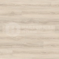 538654 Дуб доломити