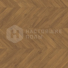 CA4162 Дуб Горчичный