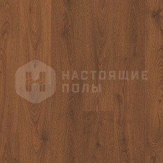 CLM4090 Дуб Горный красный