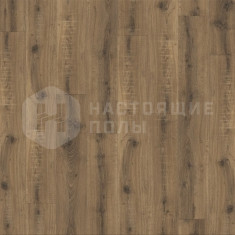 22877Q Дуб Брио, 1320*196*2.35 мм