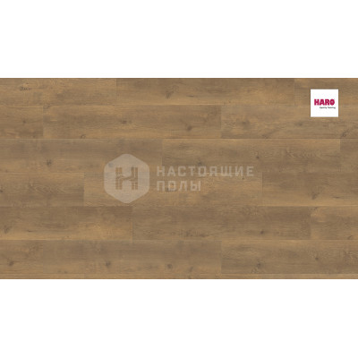 Ламинат Haro Tritty 100 Campus 538747 Дуб Бергамо Натур однополосный, 1282*243*8 мм