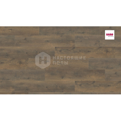 Ламинат Haro Tritty 100 Campus 538749 Дуб Бергамо Антик Дымчатый однополосный, 1282*243*8 мм
