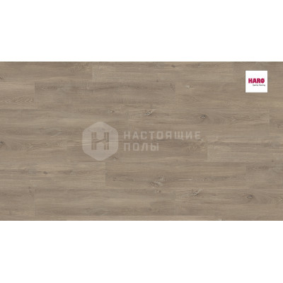 Ламинат Haro Tritty 100 Campus 538752 Дуб Лигурия Грейдж однополосный, 1282*243*8 мм