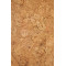 Пробковое покрытие Amorim Wise Cork Inspire Originals AA8E001 Shell, 1225*190*7 мм