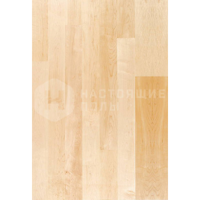 Паркетная доска Weitzer Parkett Charisma Клен канадский селект ProStrong однополосный, 2245*193*14 мм Паркетная доска Weitzer Parkett Charisma Клен канадский селект ProStrong однополосный, 2245*193*14 мм