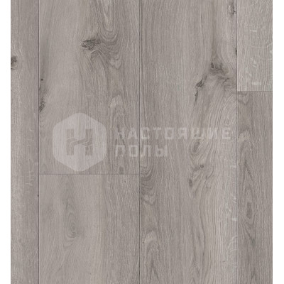 Ламинат BerryAlloc Eternity B4104 Дуб Джайант Светло-серый однополосный, 1288*190*12 мм