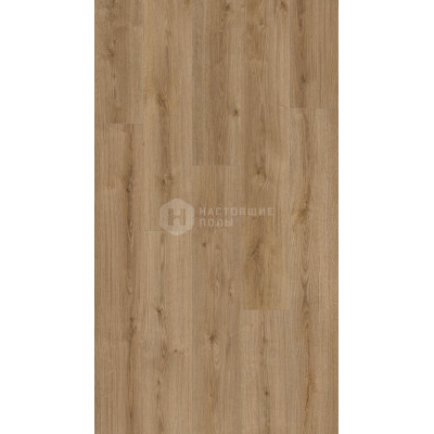 Ламинат Kaindl AQUApro Select Natural Touch Standard Plank К4421 Дуб Эвок Тренд однополосный, 1383*193*12 мм Ламинат Kaindl AQUApro Select Natural Touch Standard Plank К4421 Дуб Эвок Тренд однополосный, 1383*193*12 мм