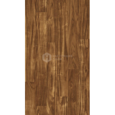 Глянцевый Ламинат Kaindl Easy Touch Premium Plank High Gloss O430 Акация Истсайд однополосный, 1383*159*8 мм