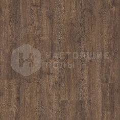 RPUCL40199 Дуб осенний шоколадный