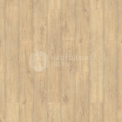 Ламинат Tarkett Estetica 504015081 Дуб Сфумато