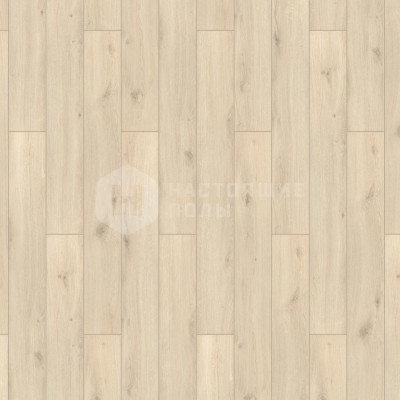 Ламинат Tarkett Pilot 504418016 Дуб Уорнер