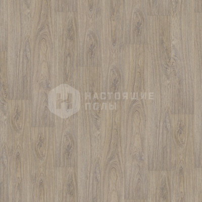 Ламинат Tarkett Universe 504421000 Дуб Кассиопея