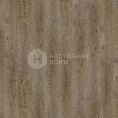 Ламинат Tarkett Universe 504421002 Дуб Центавр