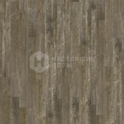 Ламинат Tarkett Gallery 504425005 Дуб Ренуар