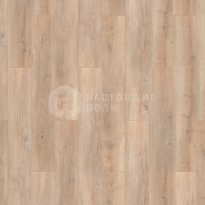 Ламинат Tarkett Taiga Первая Сибирская 504466001 Ясень желтый