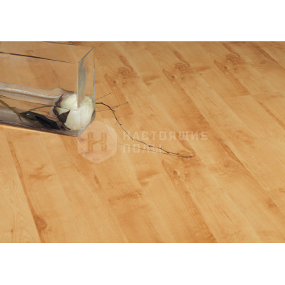 Ламинат BerryAlloc Loft 3030-3868 Береза 2 полосы