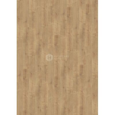 Ламинат Wineo 300 LA145N Дуб Солнечный однополосный